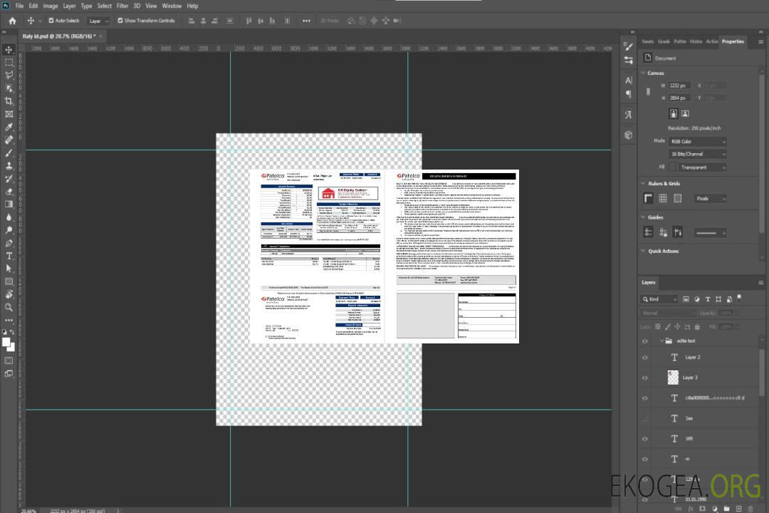 Relevé de carte bancaire USA Californie Patelco 2 pages template Relevé de carte bancaire USA Californie Patelco 2 pages template